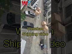 SMT-Montagemaschine Wenzhan Versandvideo